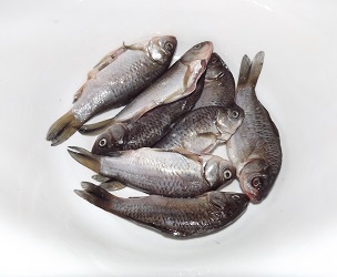 Как правильно жарить рыбу, Кулинарные советы