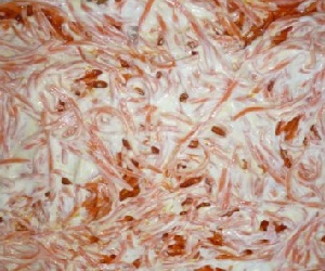 Салат "Лисья шубка", Рыбные салаты